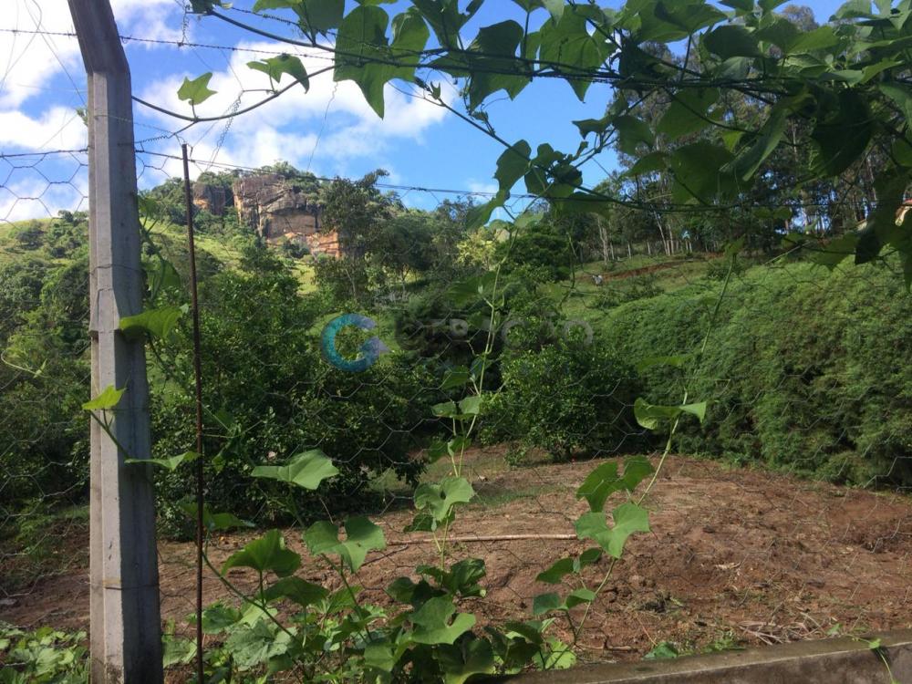 Comprar Rural / Chácara em Brasópolis apenas R$ 850.000,00 - Foto 33 Comprar Rural / Chácara em Brasópolis apenas R$ 850.000,00 - Foto 33