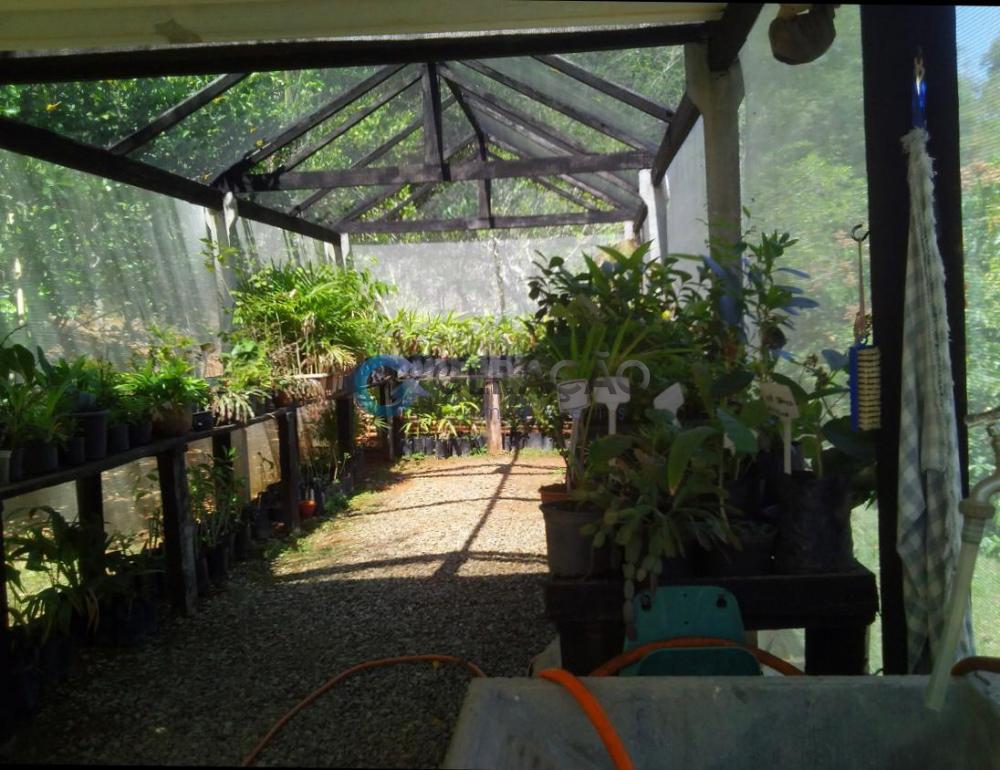 Comprar Rural / Sítio em São José dos Campos apenas R$ 550.000,00 - Foto 8 Comprar Rural / Sítio em São José dos Campos apenas R$ 550.000,00 - Foto 8