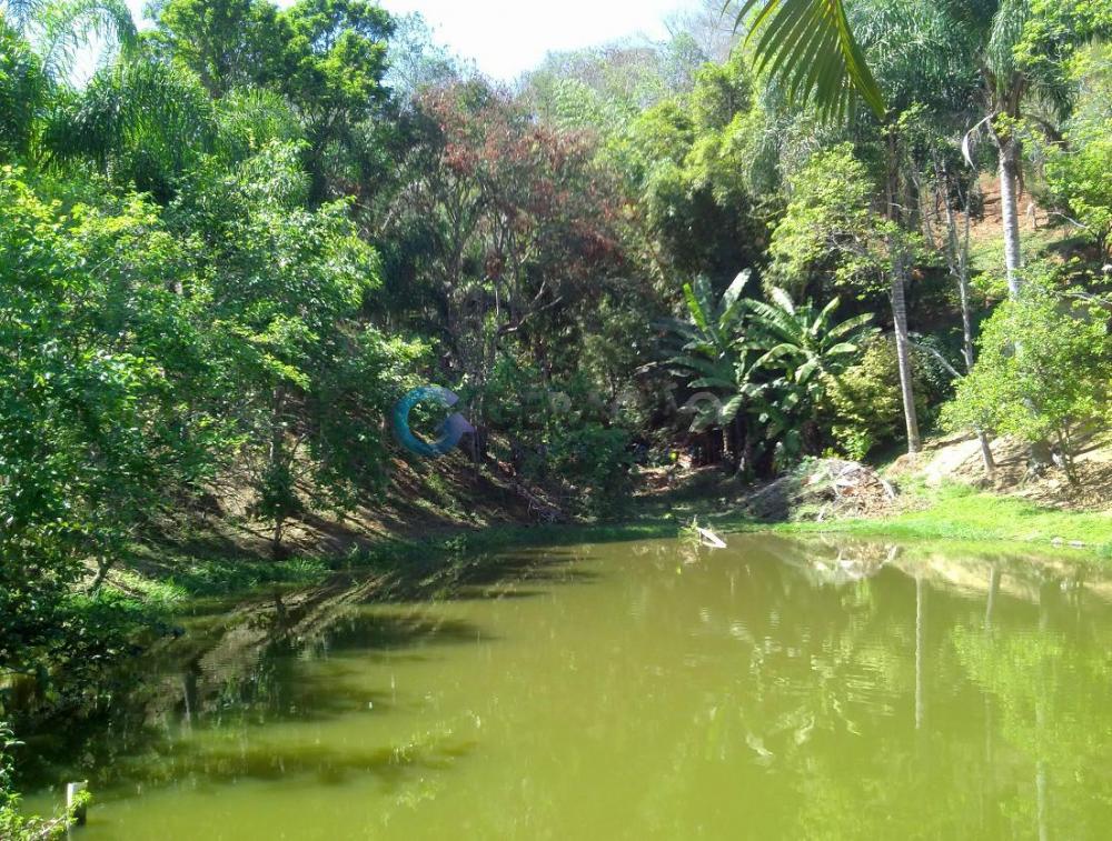 Comprar Rural / Sítio em São José dos Campos apenas R$ 550.000,00 - Foto 12 Comprar Rural / Sítio em São José dos Campos apenas R$ 550.000,00 - Foto 12