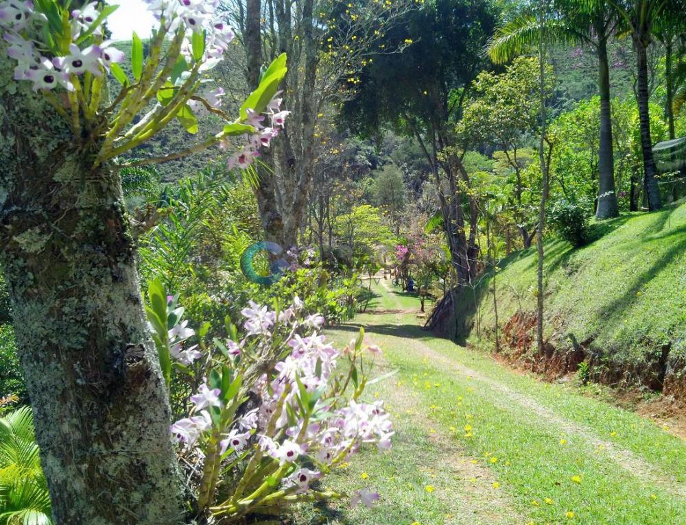 Comprar Rural / Sítio em São José dos Campos apenas R$ 550.000,00 - Foto 10 Comprar Rural / Sítio em São José dos Campos apenas R$ 550.000,00 - Foto 10