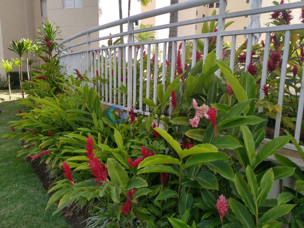 Comprar Apartamento / Padrão em São José dos Campos apenas R$ 800.000,00 - Foto 25 Comprar Apartamento / Padrão em São José dos Campos apenas R$ 800.000,00 - Foto 25