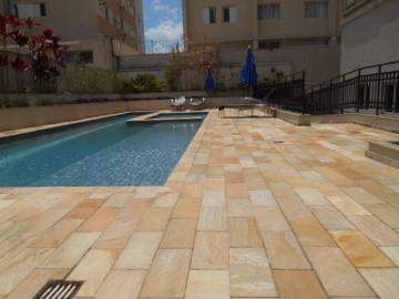 Alugar Apartamento / Padrão em São José dos Campos apenas R$ 1.900,00 - Foto 16 Alugar Apartamento / Padrão em São José dos Campos apenas R$ 1.900,00 - Foto 16