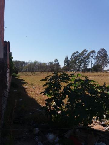 Área Urbana 11.700m² - Galo Branco - São José dos Campos