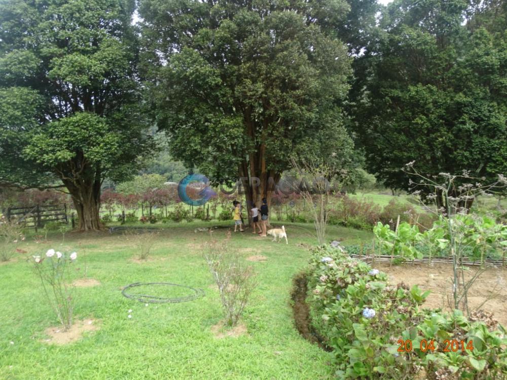 Comprar Rural / Sítio em São José dos Campos R$ 1.750.000,00 - Foto 5 Comprar Rural / Sítio em São José dos Campos R$ 1.750.000,00 - Foto 5