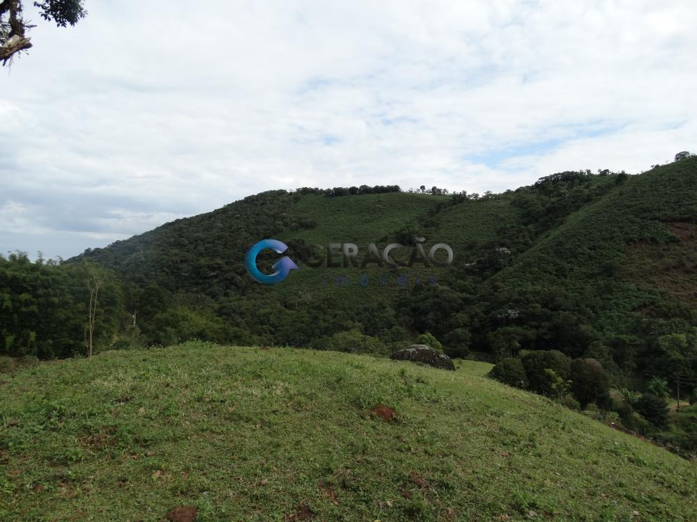 Comprar Rural / Sítio em São José dos Campos R$ 1.750.000,00 - Foto 11 Comprar Rural / Sítio em São José dos Campos R$ 1.750.000,00 - Foto 11
