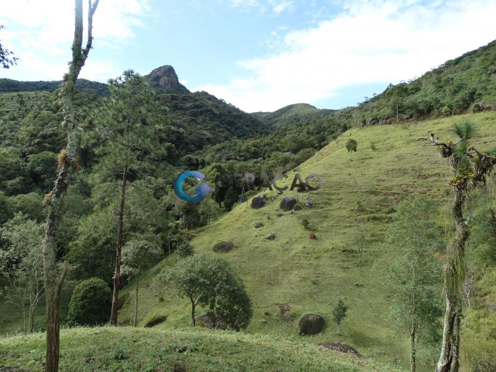 Comprar Rural / Sítio em São José dos Campos R$ 1.750.000,00 - Foto 12 Comprar Rural / Sítio em São José dos Campos R$ 1.750.000,00 - Foto 12