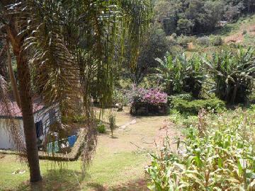 imagem 4 - Chácara para venda em Santo Antônio do Pinhal - 4.000m² imagem 4 - Chácara para venda em Santo Antônio do Pinhal - 4.000m²