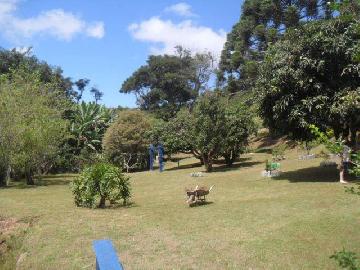 imagem 1 - Chácara para venda em Santo Antônio do Pinhal - 4.000m² imagem 1 - Chácara para venda em Santo Antônio do Pinhal - 4.000m²