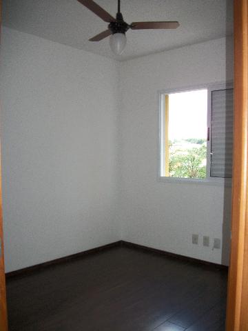 Apartamento para venda e locação de 02 Dorm. e 01 Suíte - 64m² no Jardim Apolo