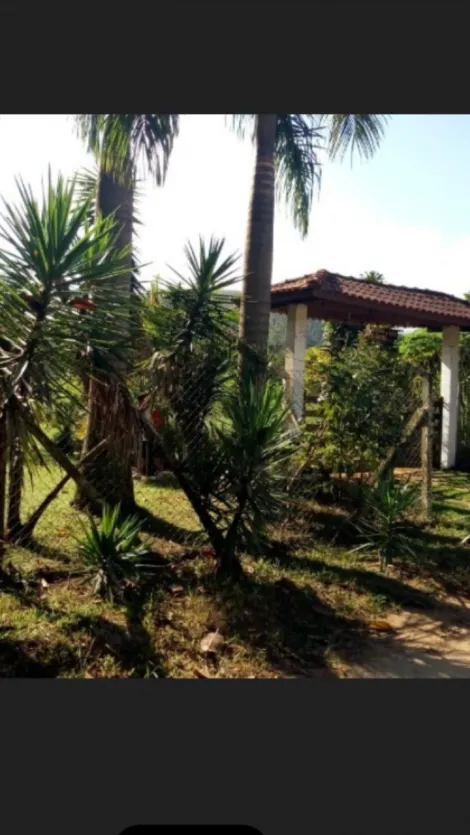 imagem 3 - Rural - Chácara imagem 3 - Rural - Chácara