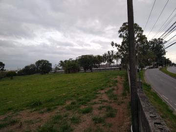 imagem 1 - Terreno e Área - Área para loteamento imagem 1 - Terreno e Área - Área para loteamento