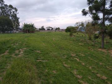 imagem 4 - Terreno e Área - Área para loteamento imagem 4 - Terreno e Área - Área para loteamento