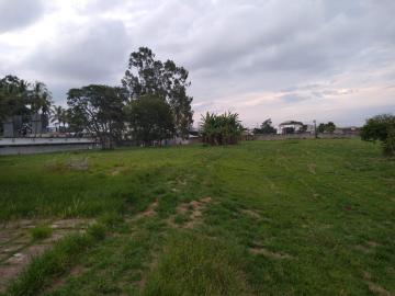 imagem 5 - Terreno e Área - Área para loteamento imagem 5 - Terreno e Área - Área para loteamento