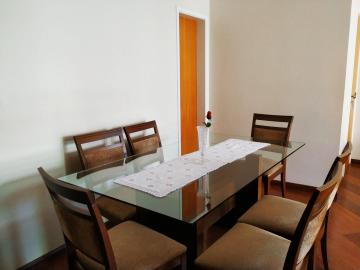 imagem 4 - Apartamento - Padrão imagem 4 - Apartamento - Padrão