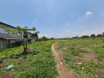 imagem 3 - Terreno e Área - Área para loteamento imagem 3 - Terreno e Área - Área para loteamento
