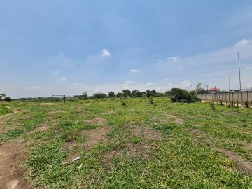 imagem 2 - Terreno e Área - Área para loteamento imagem 2 - Terreno e Área - Área para loteamento