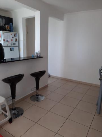 Alugar Apartamento / Padrão em São José dos Campos R$ 900,00 - Foto 2 Alugar Apartamento / Padrão em São José dos Campos R$ 900,00 - Foto 2