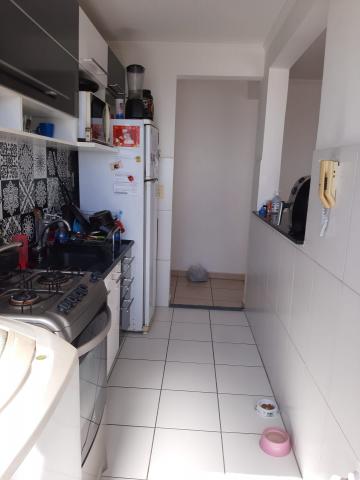 Alugar Apartamento / Padrão em São José dos Campos R$ 900,00 - Foto 5 Alugar Apartamento / Padrão em São José dos Campos R$ 900,00 - Foto 5