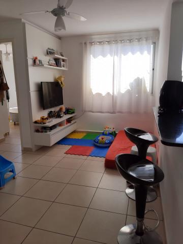 Alugar Apartamento / Padrão em São José dos Campos R$ 900,00 - Foto 1 Alugar Apartamento / Padrão em São José dos Campos R$ 900,00 - Foto 1