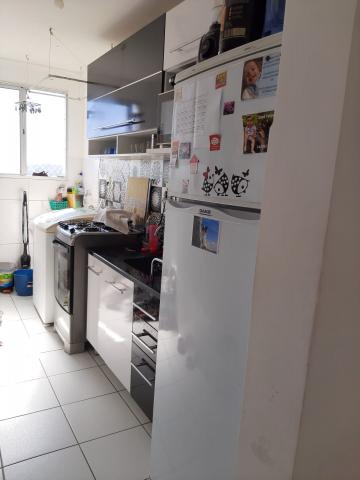 Alugar Apartamento / Padrão em São José dos Campos R$ 900,00 - Foto 6 Alugar Apartamento / Padrão em São José dos Campos R$ 900,00 - Foto 6