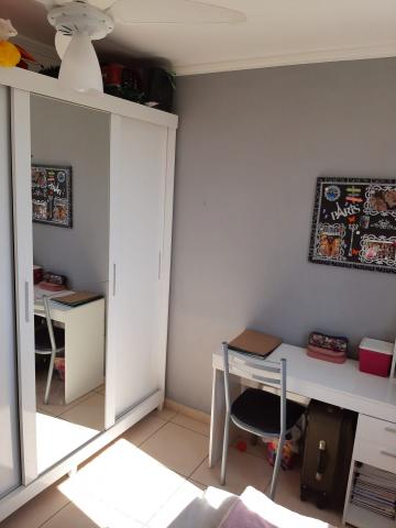 Alugar Apartamento / Padrão em São José dos Campos R$ 900,00 - Foto 8 Alugar Apartamento / Padrão em São José dos Campos R$ 900,00 - Foto 8