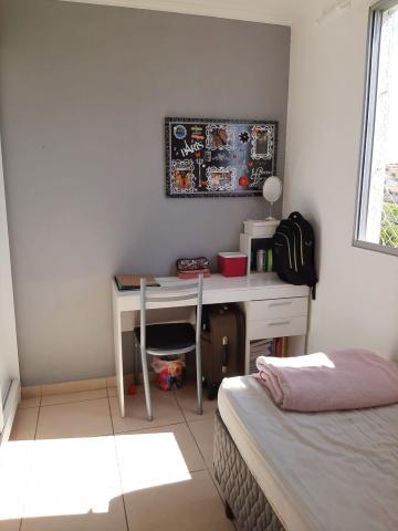 Alugar Apartamento / Padrão em São José dos Campos R$ 900,00 - Foto 9 Alugar Apartamento / Padrão em São José dos Campos R$ 900,00 - Foto 9