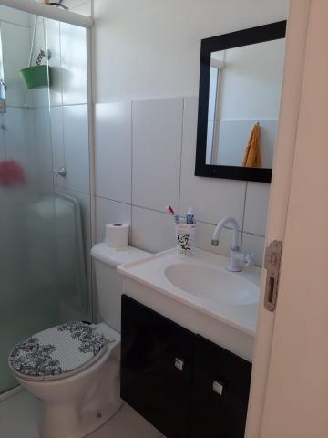 Alugar Apartamento / Padrão em São José dos Campos R$ 900,00 - Foto 7 Alugar Apartamento / Padrão em São José dos Campos R$ 900,00 - Foto 7