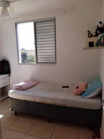 Alugar Apartamento / Padrão em São José dos Campos R$ 900,00 - Foto 13 Alugar Apartamento / Padrão em São José dos Campos R$ 900,00 - Foto 13