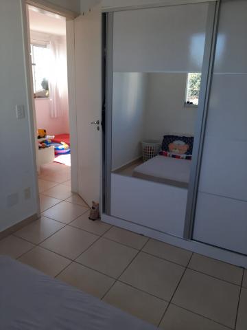 Alugar Apartamento / Padrão em São José dos Campos R$ 900,00 - Foto 10 Alugar Apartamento / Padrão em São José dos Campos R$ 900,00 - Foto 10