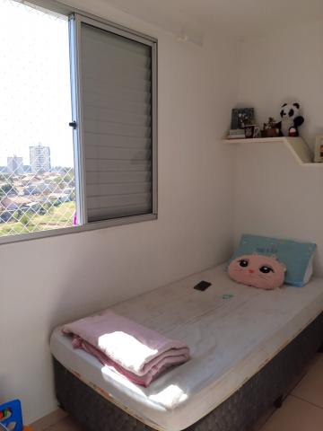 Alugar Apartamento / Padrão em São José dos Campos R$ 900,00 - Foto 14 Alugar Apartamento / Padrão em São José dos Campos R$ 900,00 - Foto 14