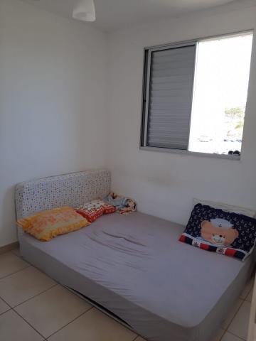 Alugar Apartamento / Padrão em São José dos Campos R$ 900,00 - Foto 12 Alugar Apartamento / Padrão em São José dos Campos R$ 900,00 - Foto 12