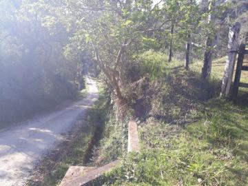 imagem 4 - Rural - Chácara imagem 4 - Rural - Chácara