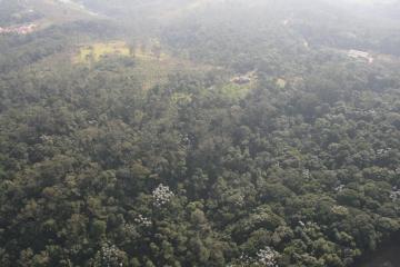 imagem 3 - Área Residencial de 32.000,00m² em Mogi das Cruzes! imagem 3 - Área Residencial de 32.000,00m² em Mogi das Cruzes!
