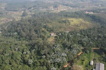 imagem 5 - Área Residencial de 32.000,00m² em Mogi das Cruzes! imagem 5 - Área Residencial de 32.000,00m² em Mogi das Cruzes!
