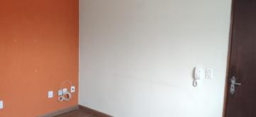 Apartamento / Padrão em São José dos Campos Alugar por R$1.100,00 Apartamento / Padrão em São José dos Campos Alugar por R$1.100,00