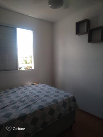 Apartamento / Padrão em São José dos Campos Alugar por R$700,00 Apartamento / Padrão em São José dos Campos Alugar por R$700,00