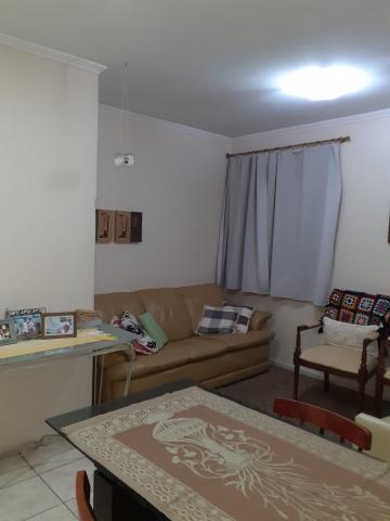 Apartamento para venda de 03 Dorm. - 61m² na Vila Adyanna