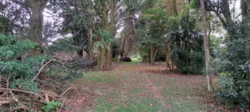 imagem 2 - Terreno para venda com 28.432,39m² no Jardim São Dimas imagem 2 - Terreno para venda com 28.432,39m² no Jardim São Dimas