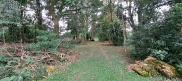 imagem 5 - Terreno para venda com 28.432,39m² no Jardim São Dimas imagem 5 - Terreno para venda com 28.432,39m² no Jardim São Dimas