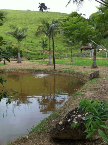 Fazenda de leite e corte 105 alqueires para venda - Bairro dos Macacos