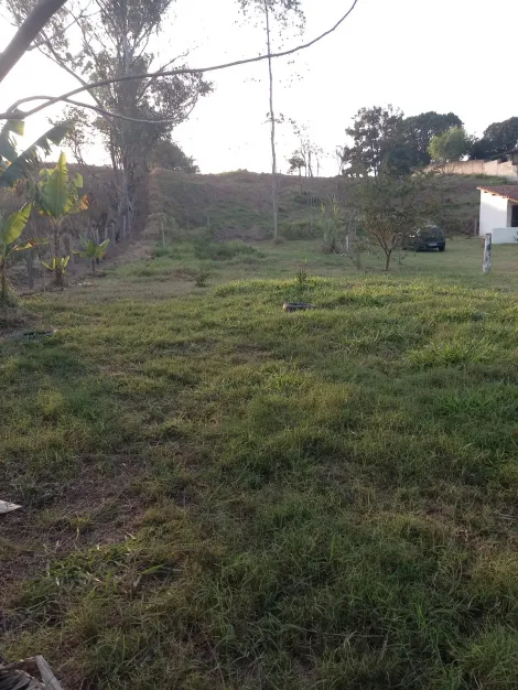 imagem 1 - Terreno para venda com 5.537,10m² - Jardim Santa Hermínia imagem 1 - Terreno para venda com 5.537,10m² - Jardim Santa Hermínia