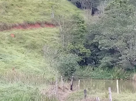 Área rural para venda - Bairro São João em Jacareí - SP