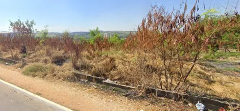 imagem 2 - Terreno/Área para venda com 140.000m² - Distrito de Eugênio de Melo imagem 2 - Terreno/Área para venda com 140.000m² - Distrito de Eugênio de Melo