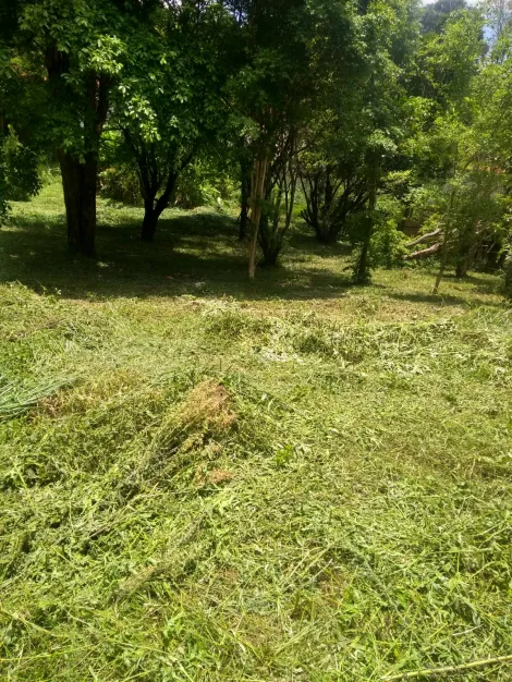 imagem 2 - Sítio com área de 18.000 m² - Área privilegiada à beira da Rodovia MG-459 e fundos para Estrada Municipal do Bairro Mato Dentro de Baixo - PIRANGUINHO/MG. imagem 2 - Sítio com área de 18.000 m² - Área privilegiada à beira da Rodovia MG-459 e fundos para Estrada Municipal do Bairro Mato Dentro de Baixo - PIRANGUINHO/MG.