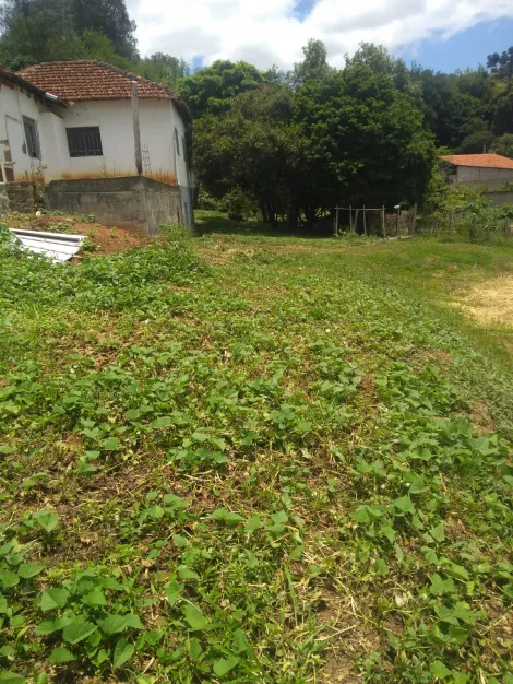 imagem 4 - Sítio com área de 18.000 m² - Área privilegiada à beira da Rodovia MG-459 e fundos para Estrada Municipal do Bairro Mato Dentro de Baixo - PIRANGUINHO/MG. imagem 4 - Sítio com área de 18.000 m² - Área privilegiada à beira da Rodovia MG-459 e fundos para Estrada Municipal do Bairro Mato Dentro de Baixo - PIRANGUINHO/MG.