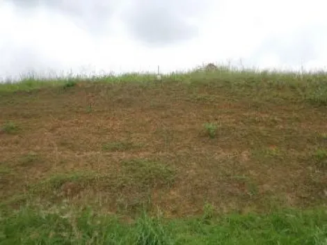 imagem 3 - Terreno em condomínio para venda com 1.750m² no bairro Espelho D´Água imagem 3 - Terreno em condomínio para venda com 1.750m² no bairro Espelho D´Água