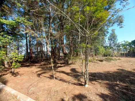 imagem 5 - Terreno para venda com 5.963,84m² no Parque Residencial Maria Elmira - Caçapava imagem 5 - Terreno para venda com 5.963,84m² no Parque Residencial Maria Elmira - Caçapava