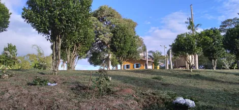 imagem 1 - Sítio encantador à venda em Paraisópolis, com 13 alqueires e uma vista deslumbrante para a Pedra do Baú, famoso ponto turístico de São Bento do Sapucaí. imagem 1 - Sítio encantador à venda em Paraisópolis, com 13 alqueires e uma vista deslumbrante para a Pedra do Baú, famoso ponto turístico de São Bento do Sapucaí.