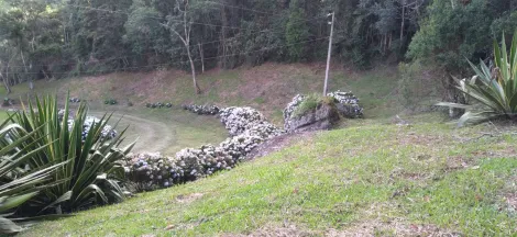 imagem 4 - Sítio encantador à venda em Paraisópolis, com 13 alqueires e uma vista deslumbrante para a Pedra do Baú, famoso ponto turístico de São Bento do Sapucaí. imagem 4 - Sítio encantador à venda em Paraisópolis, com 13 alqueires e uma vista deslumbrante para a Pedra do Baú, famoso ponto turístico de São Bento do Sapucaí.
