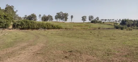 imagem 4 - Sítio / Haras com casa sede para venda em Pindamonhangaba - SP imagem 4 - Sítio / Haras com casa sede para venda em Pindamonhangaba - SP